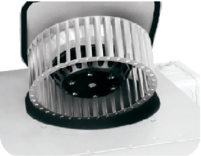 Multi-Connection Ventilator